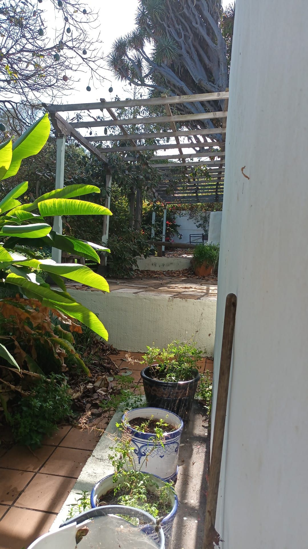 A Distinctive Residence in El Zumacal — photo 21
