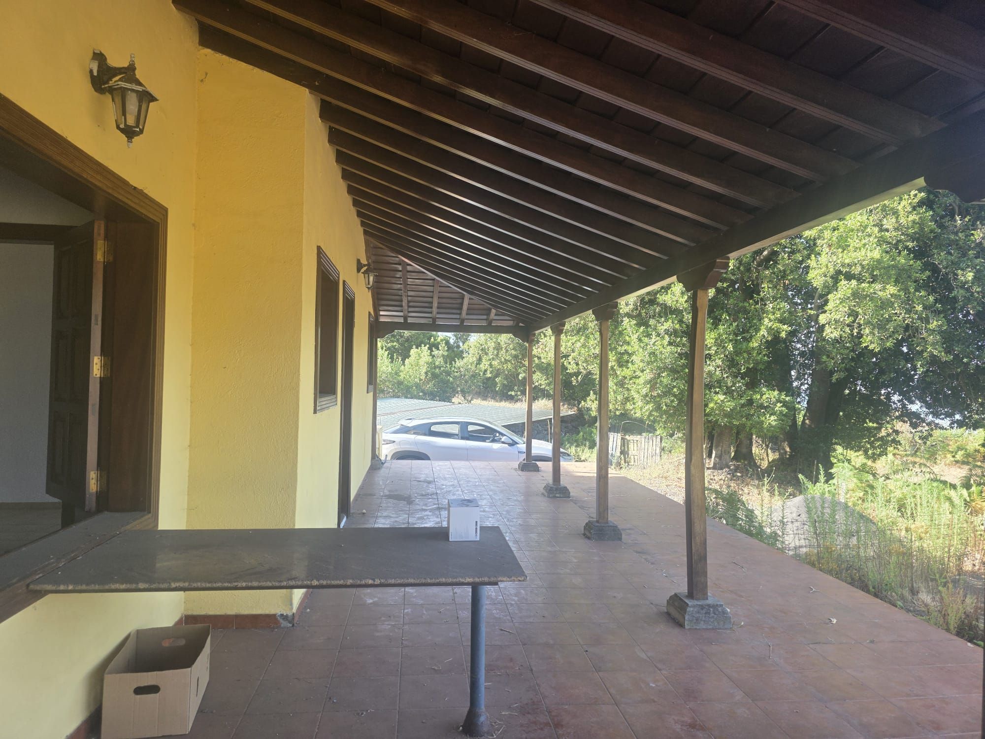 Zertifizierte Bio-Finca in San Isidro — photo 12