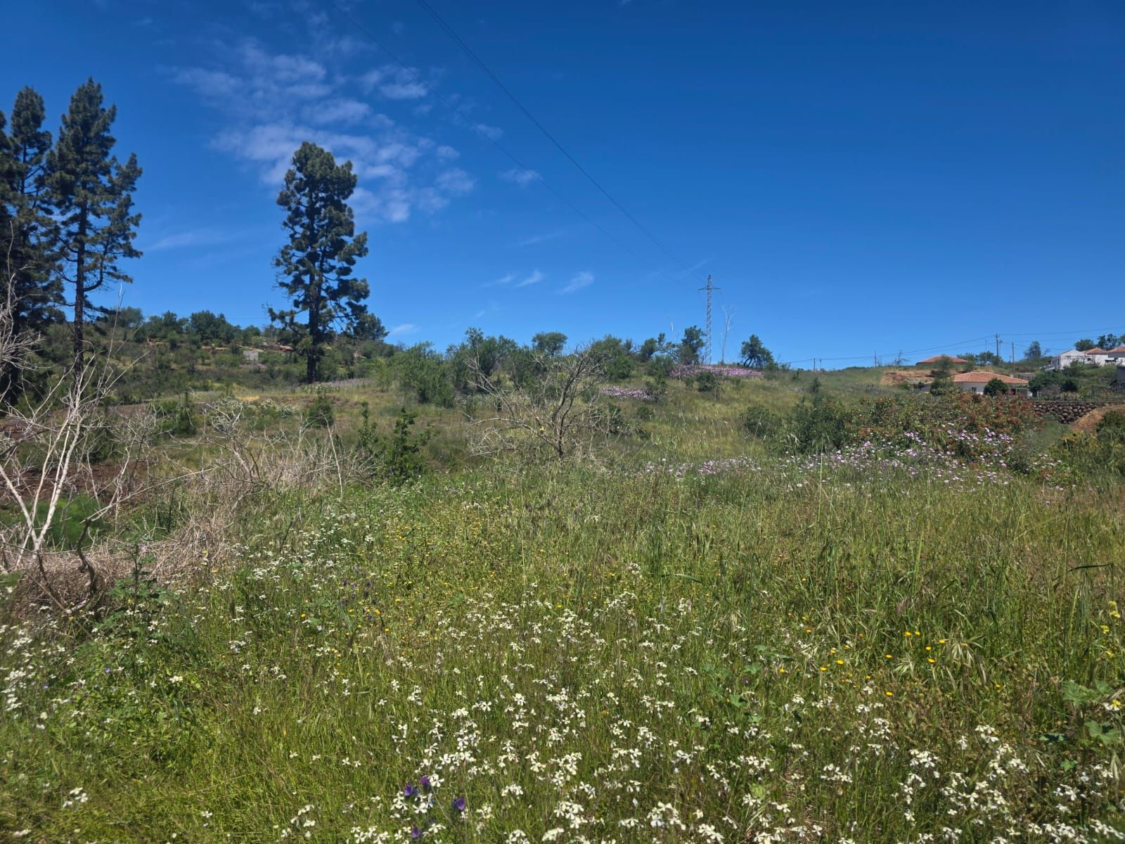 An Exceptional Tourism & Lifestyle Development Opportunity — photo 4
