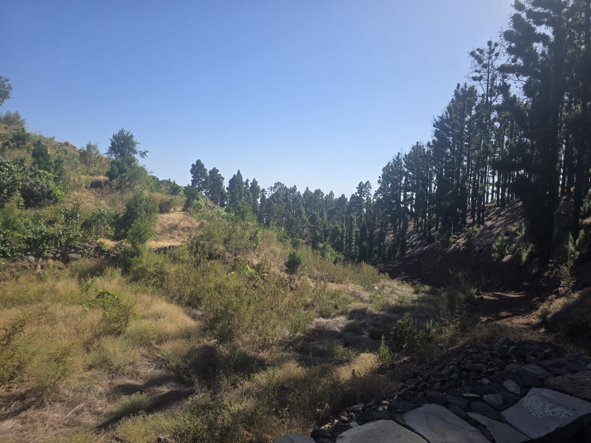 Refugio entre Viñedos y Naturaleza en Tinizara — photo 9