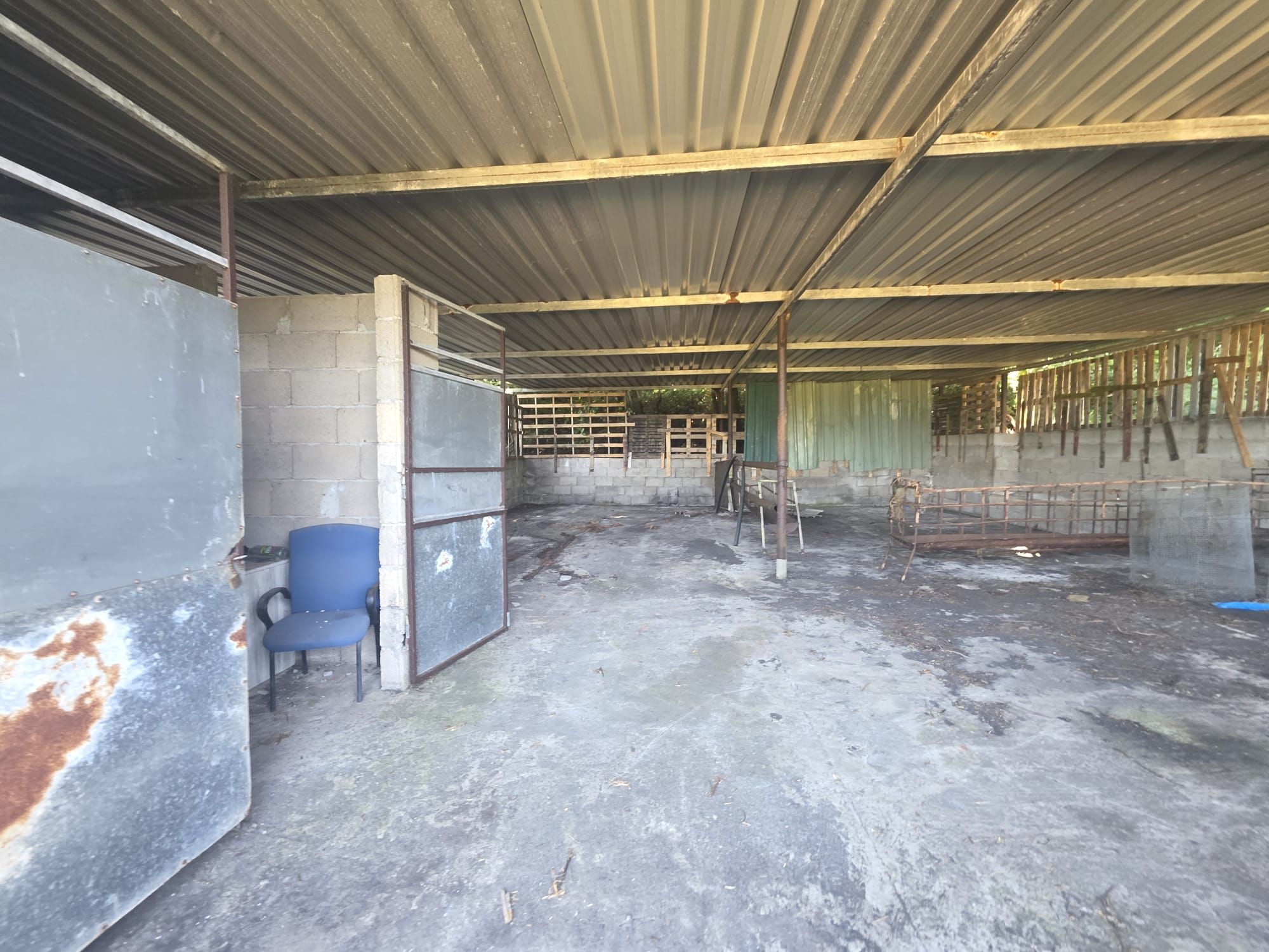 Zertifizierte Bio-Finca in San Isidro — photo 27