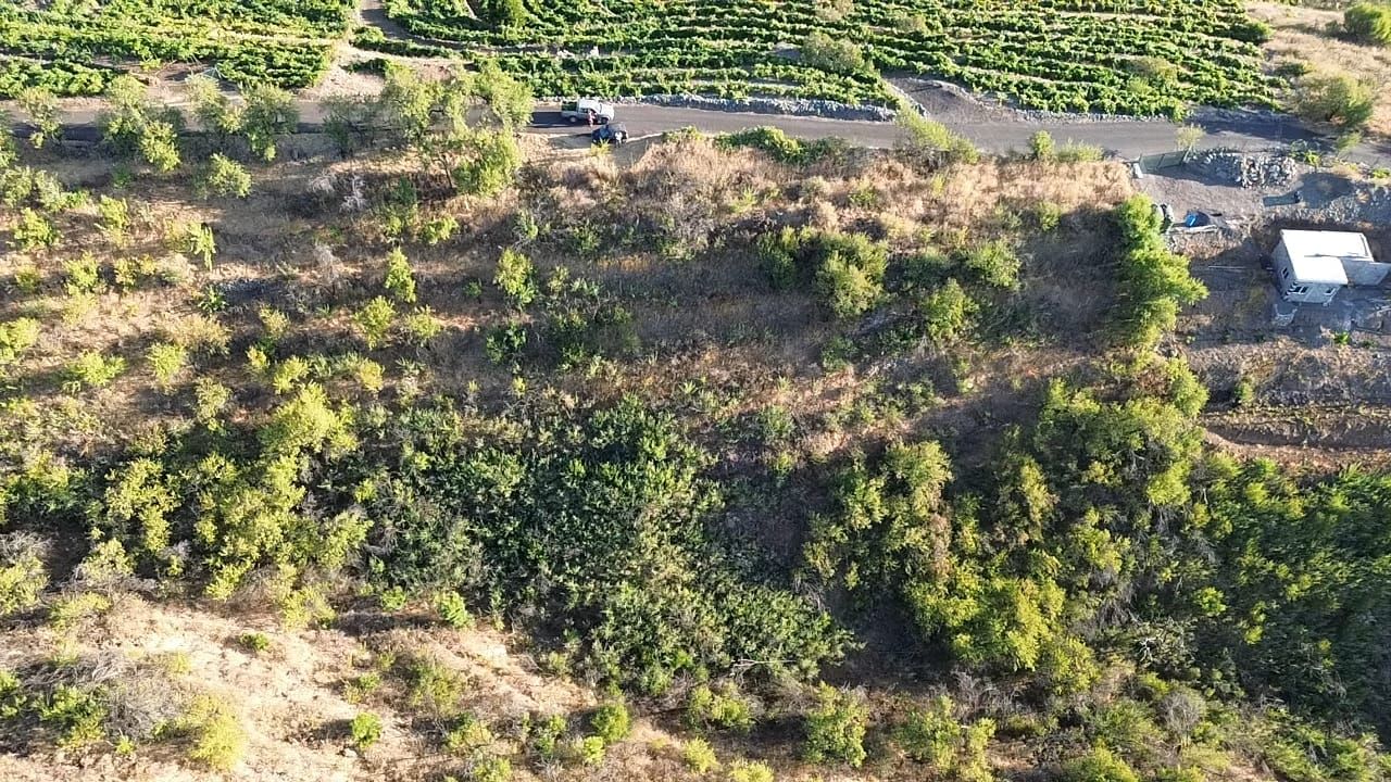 Traditionelle Terrassenfinca mit Weinberg und Bodega-Potenzial in La Traviesa — photo 2