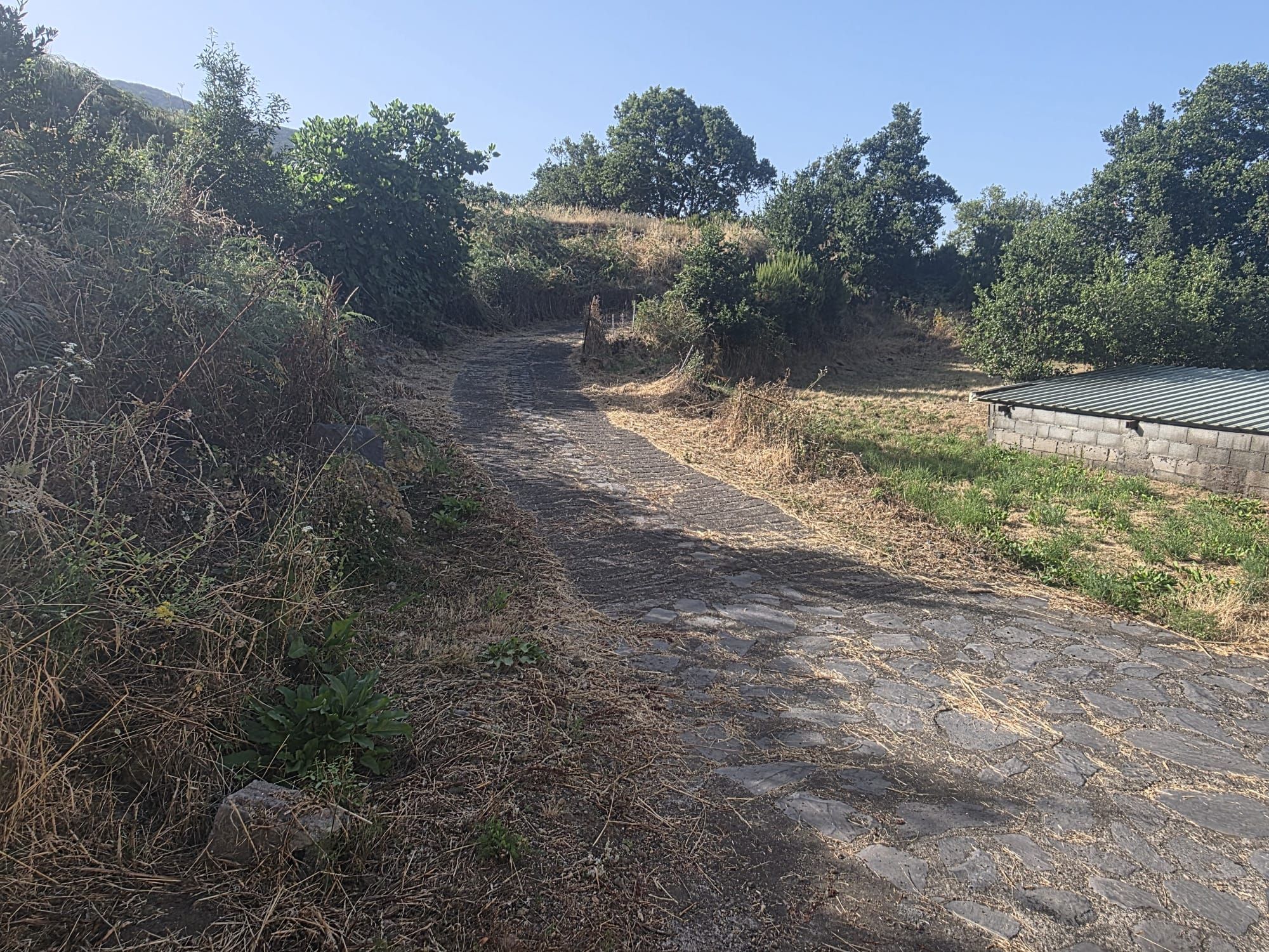 Zertifizierte Bio-Finca in San Isidro — photo 37