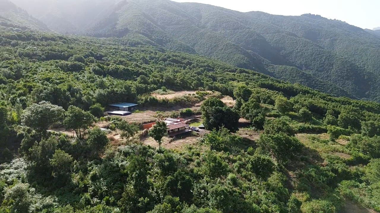 Zertifizierte Bio-Finca in San Isidro — photo 4