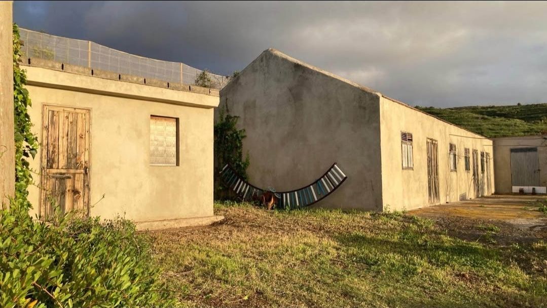 Propiedad Tradicional Canaria con 6.000 m² de Terreno y Gran Potencial — photo 3
