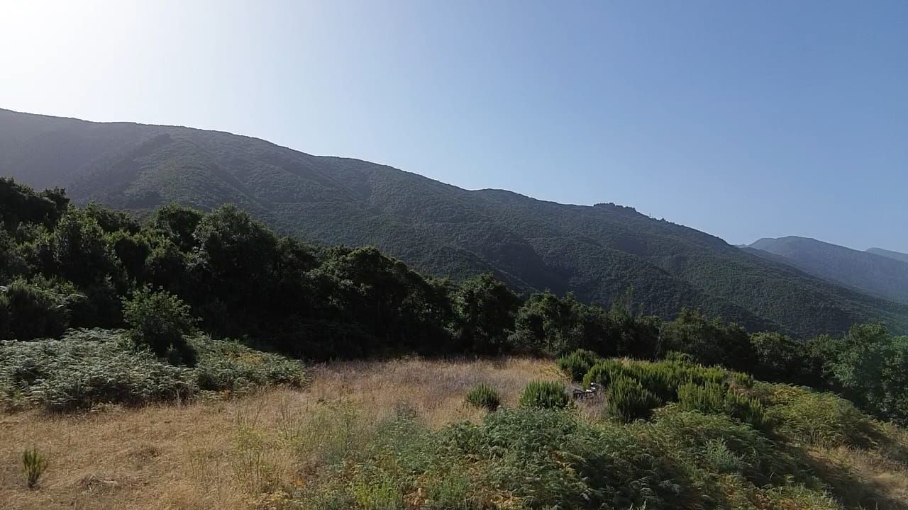Zertifizierte Bio-Finca in San Isidro — photo 13