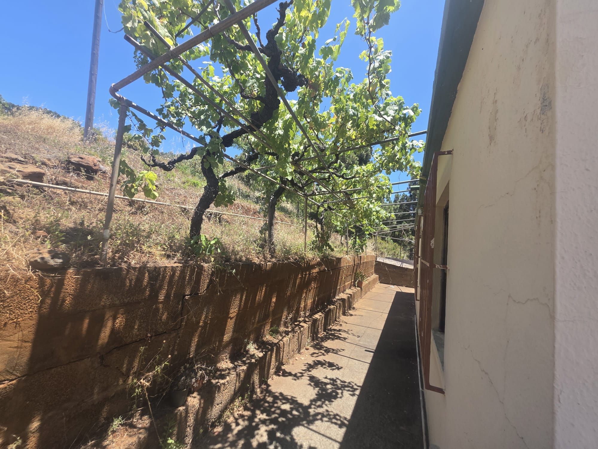 A Singular Estate with Exceptional Residential Development Potential — photo 3