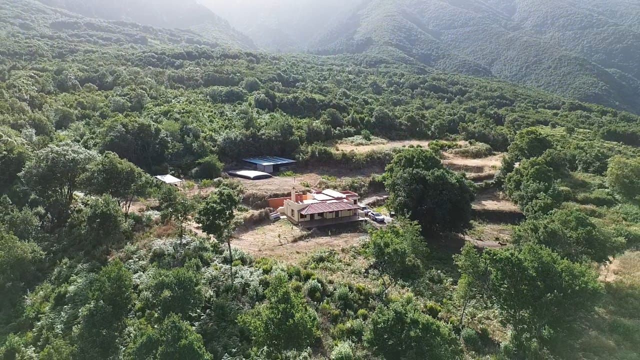 Zertifizierte Bio-Finca in San Isidro — photo 3