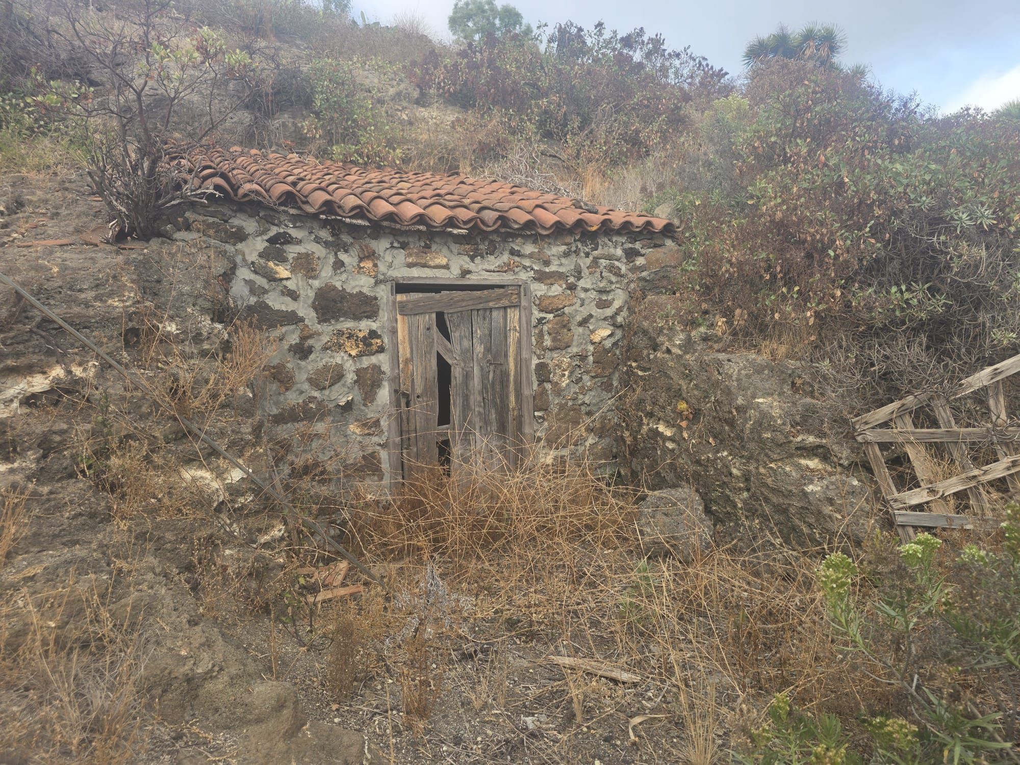 Finca Rural Con Dos Construcciones — photo 2