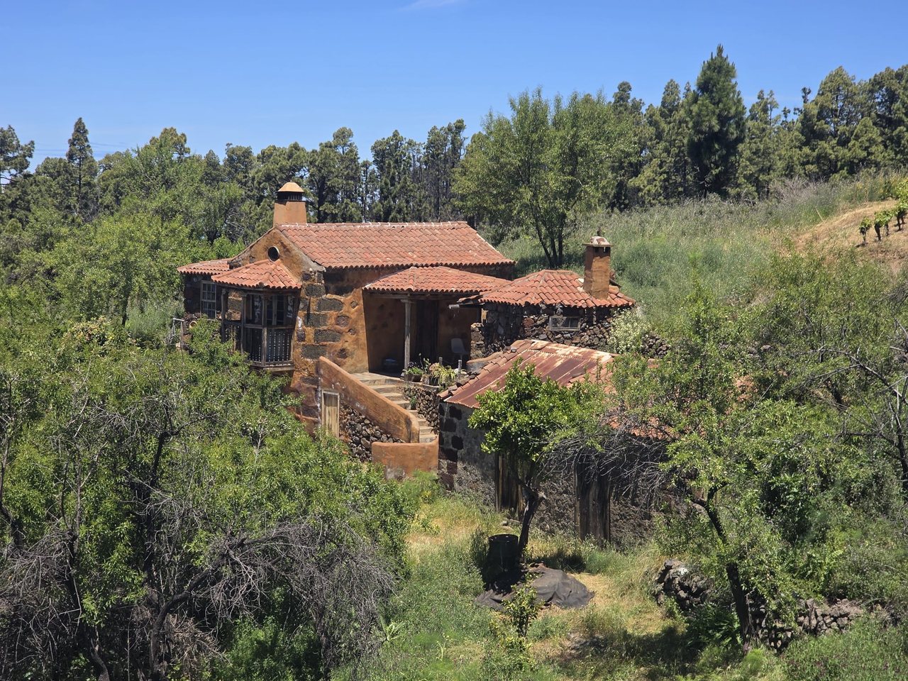 Unique Property in Puntagorda – Traditional Canarian Style