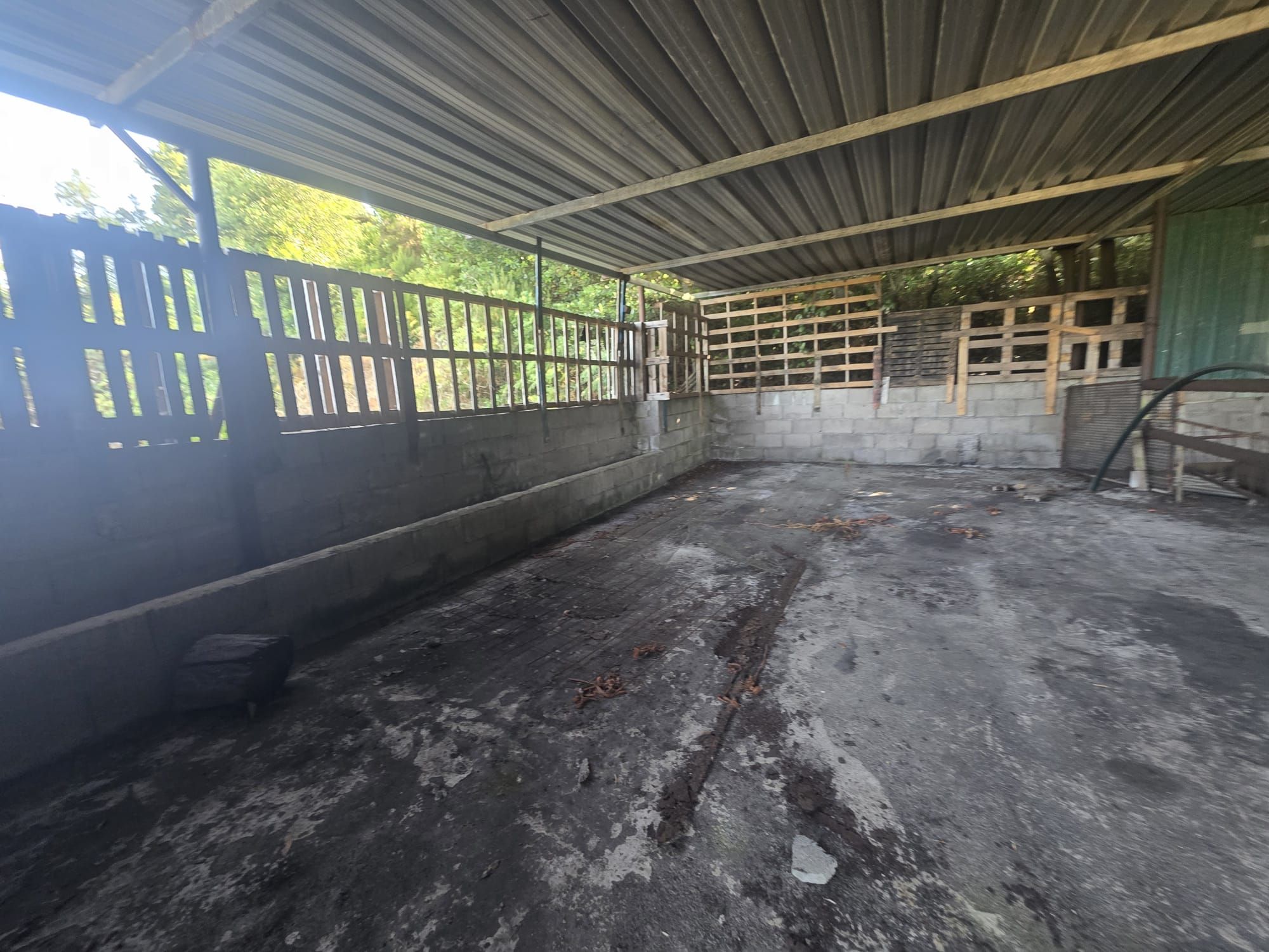 Zertifizierte Bio-Finca in San Isidro — photo 28