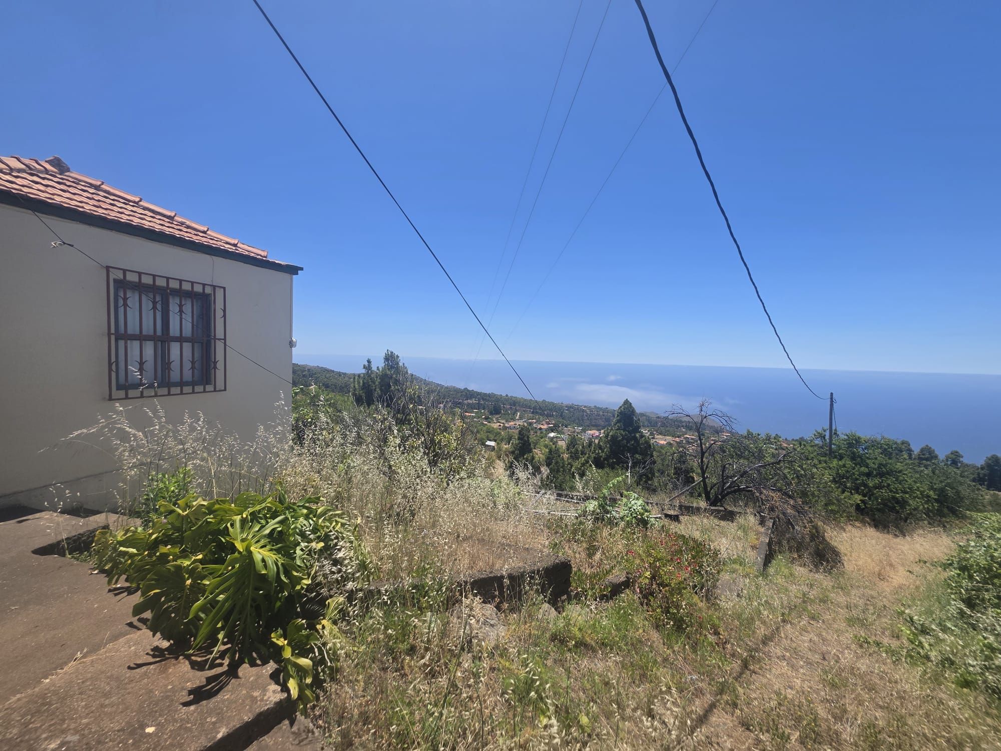 A Singular Estate with Exceptional Residential Development Potential — photo 22