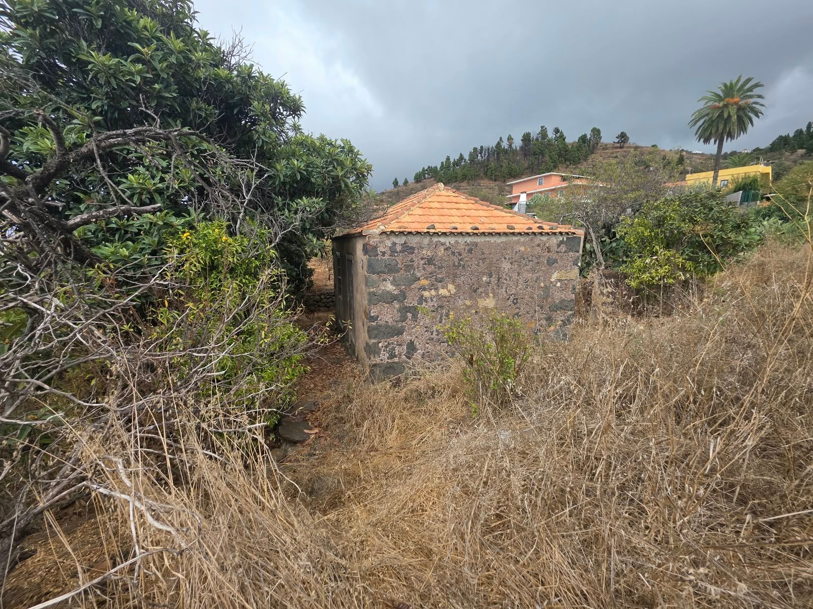 Ein kanarischer Rückzugsort zum Wiederbeleben in El Roque — photo 2
