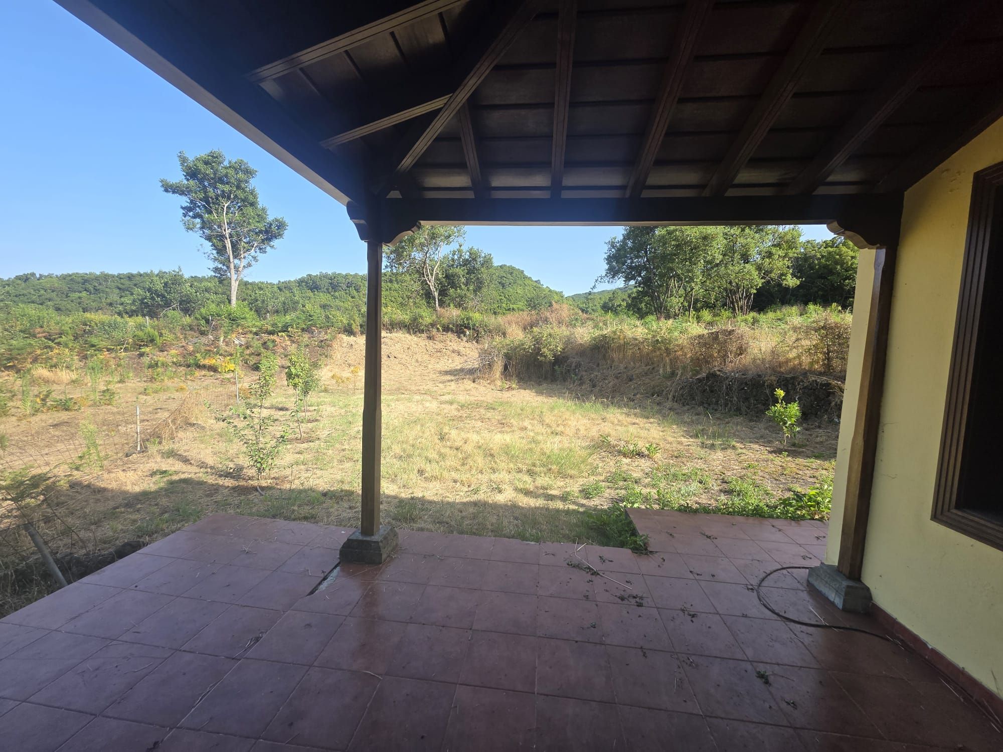 Zertifizierte Bio-Finca in San Isidro — photo 14