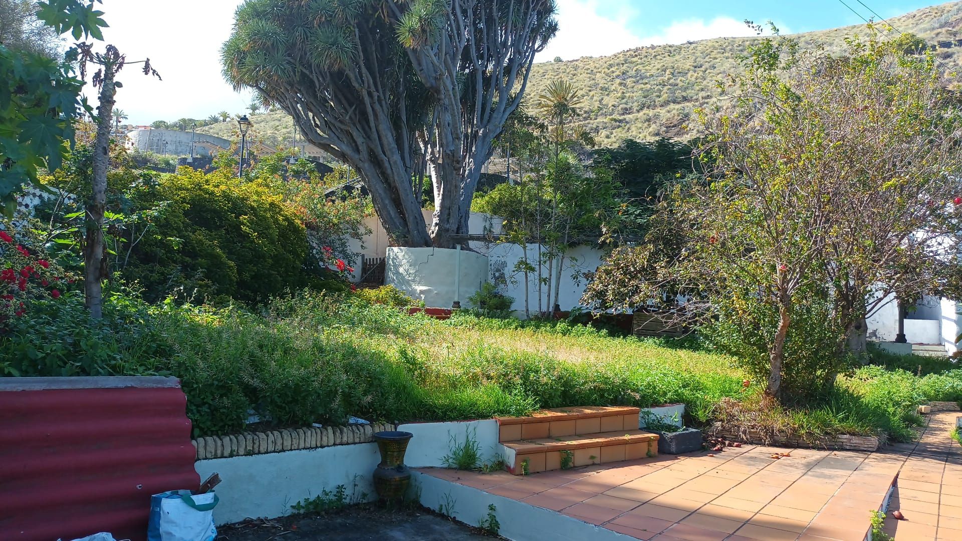 A Distinctive Residence in El Zumacal — photo 27