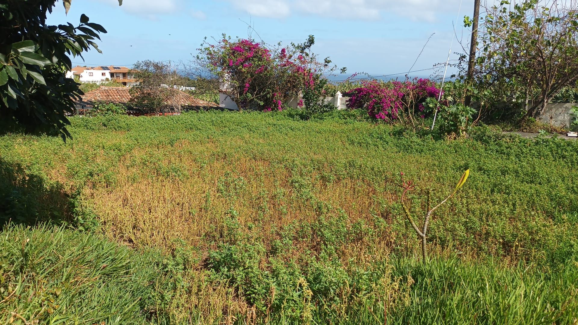 A Distinctive Residence in El Zumacal — photo 25