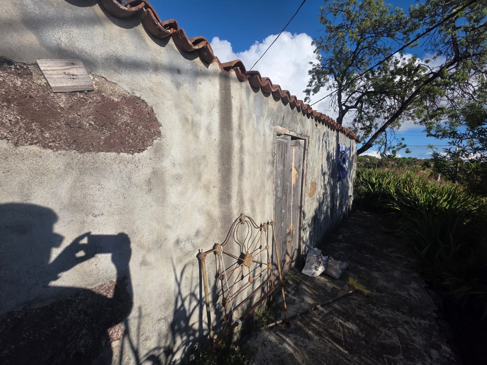 Renovation Opportunity with Urban Land in Puntagorda — photo 5