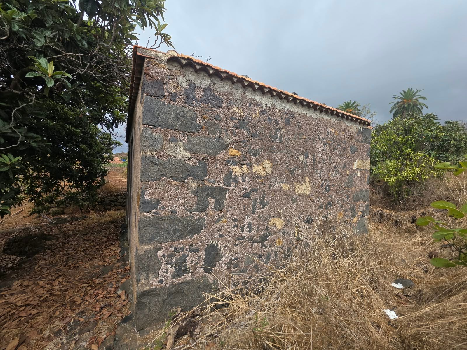 Ein kanarischer Rückzugsort zum Wiederbeleben in El Roque — photo 3