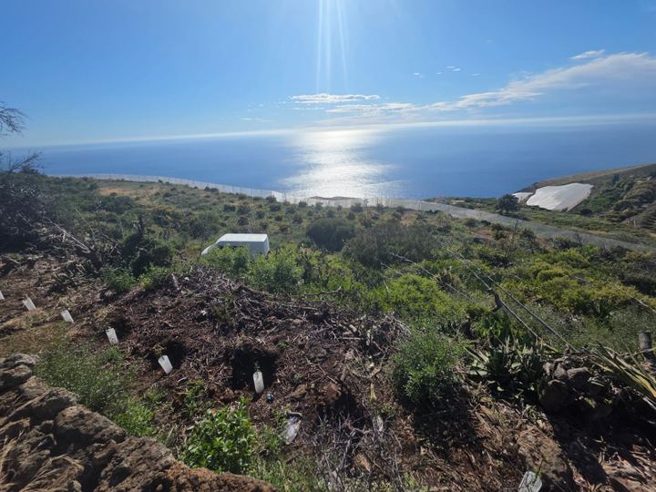 Oportunidad de Desarrollo en la Costa de Puntagorda