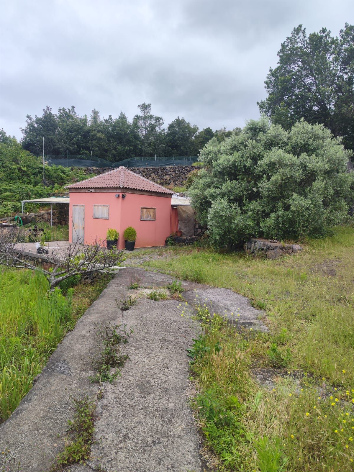 Arquitectura abierta y vida en la naturaleza en Montaña de Breña — photo 16