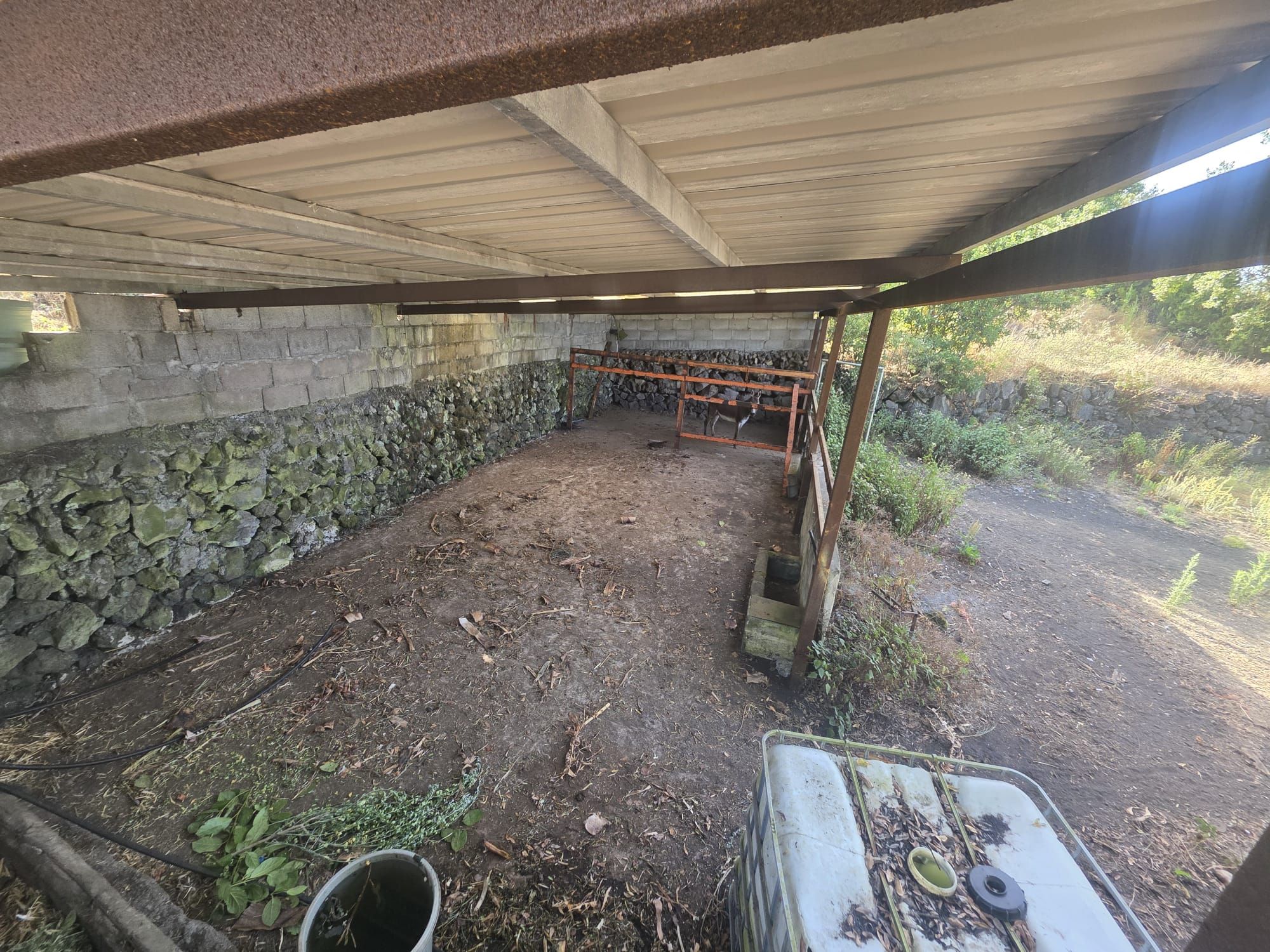 Zertifizierte Bio-Finca in San Isidro — photo 30