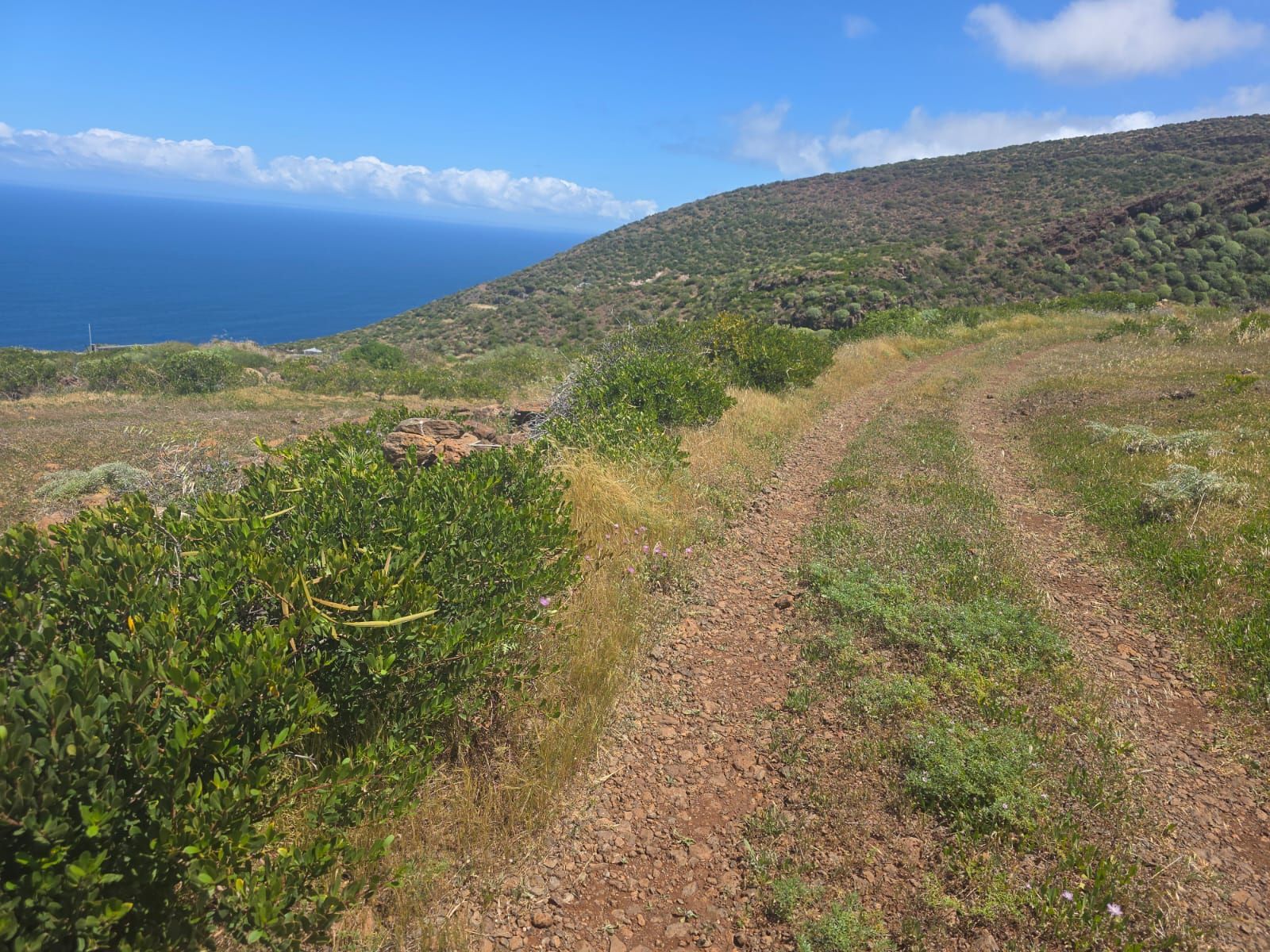 An Exceptional Rural Opportunity Close to the Atlantic — photo 3