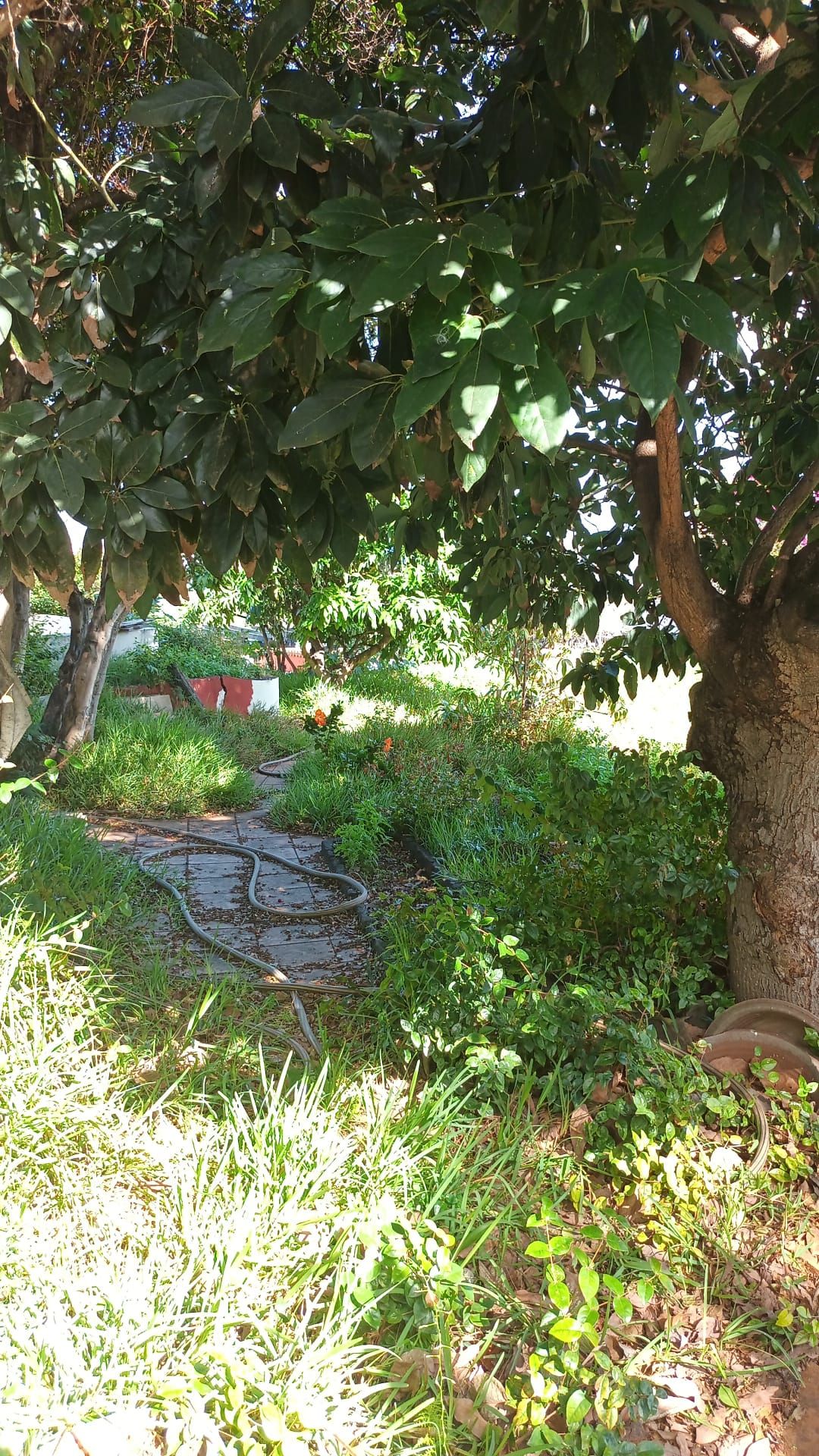 A Distinctive Residence in El Zumacal — photo 23