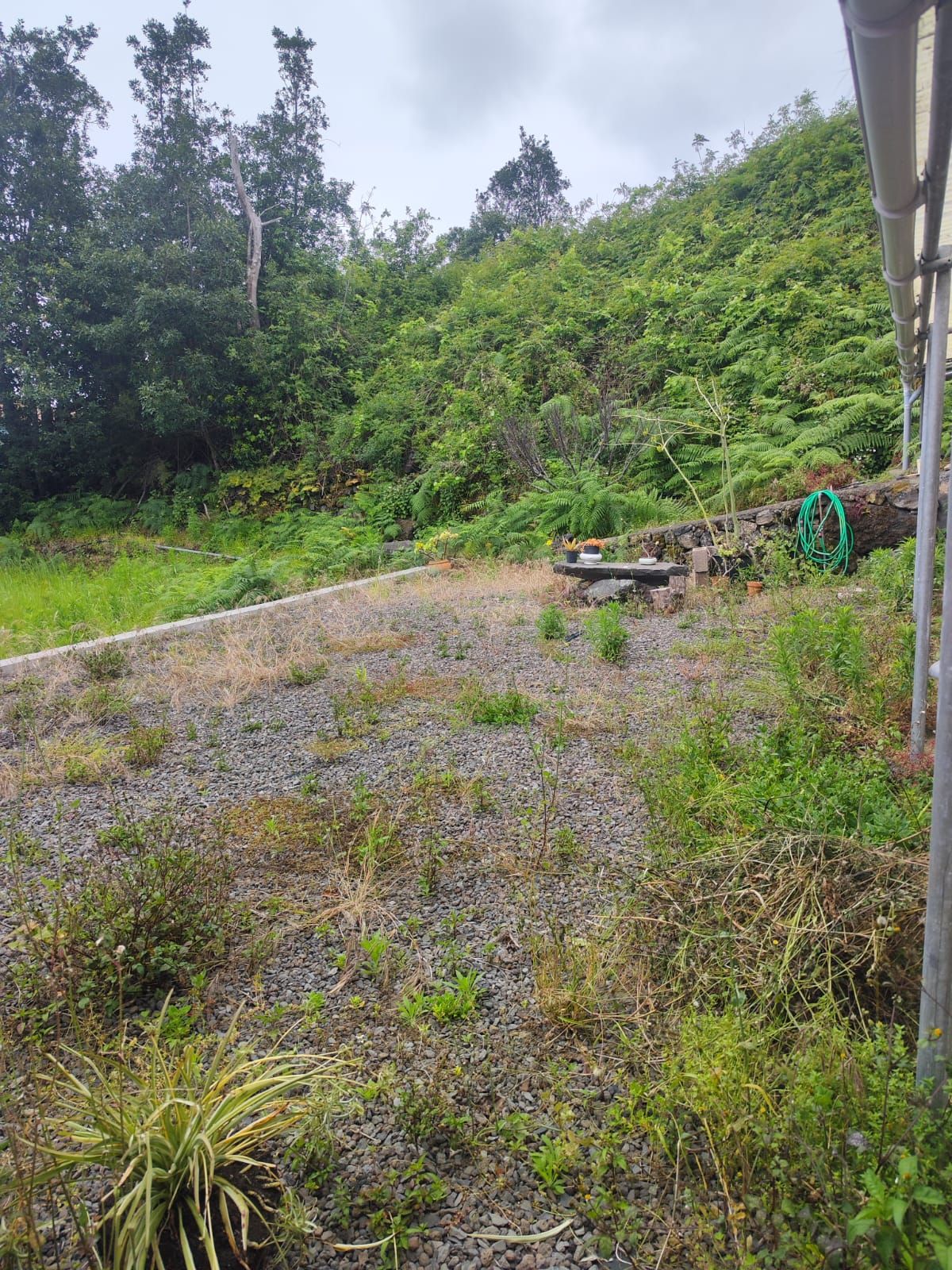 Arquitectura abierta y vida en la naturaleza en Montaña de Breña — photo 15