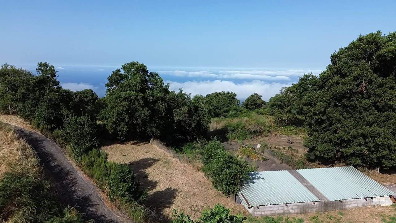 Zertifizierte Bio-Finca in San Isidro — photo 7