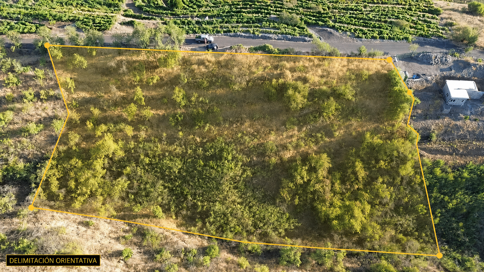Traditionelle Terrassenfinca mit Weinberg und Bodega-Potenzial in La Traviesa — photo 1