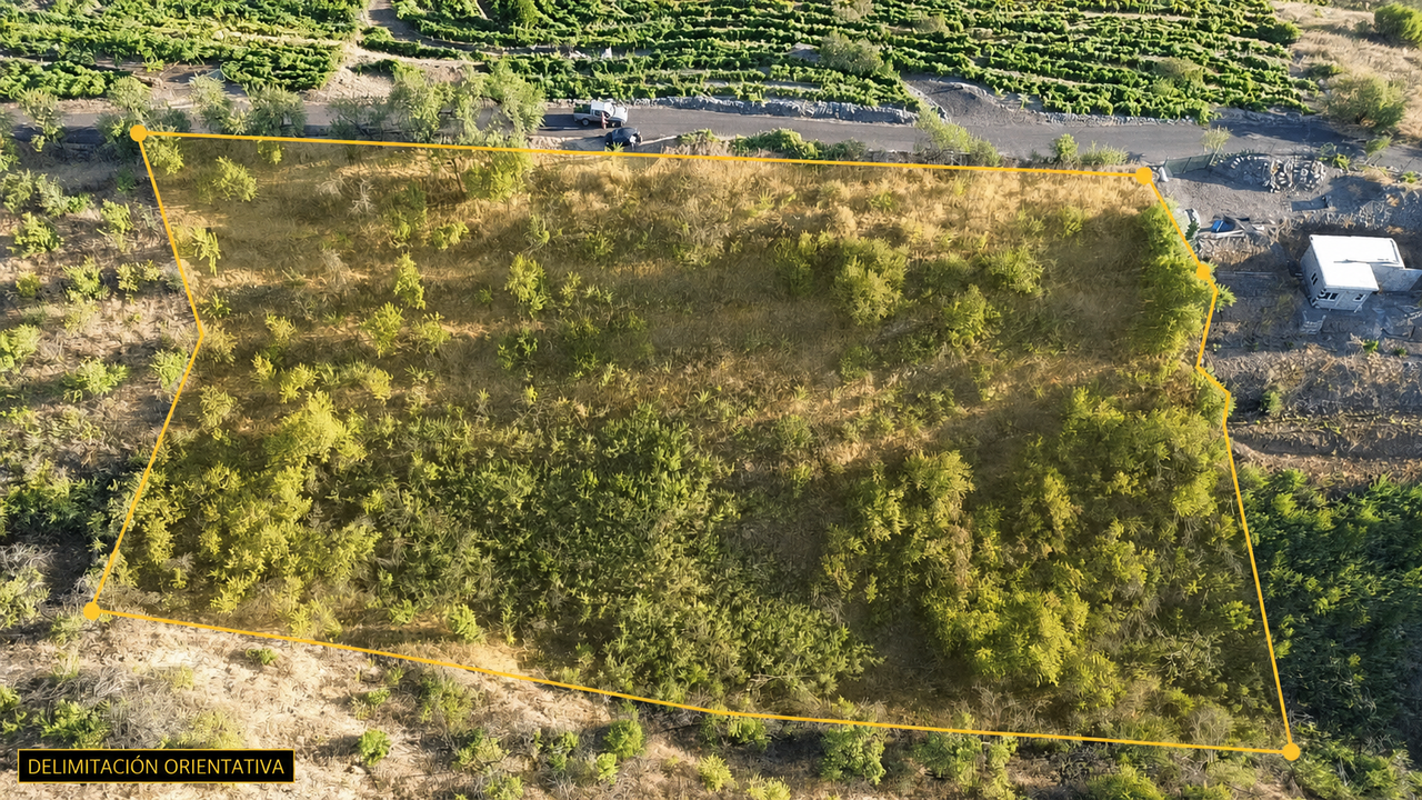 Traditionelle Terrassenfinca mit Weinberg und Bodega-Potenzial in La Traviesa