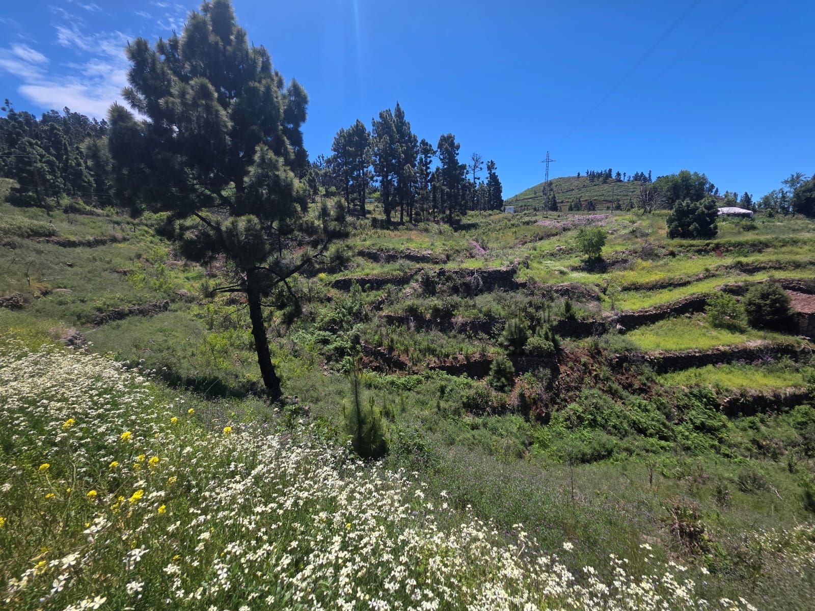 An Exceptional Tourism & Lifestyle Development Opportunity — photo 3
