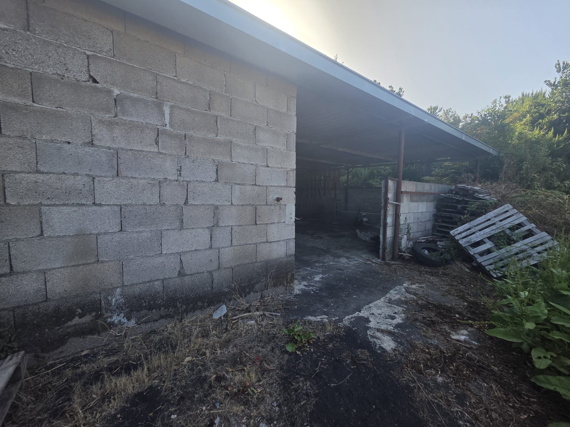 Zertifizierte Bio-Finca in San Isidro — photo 26