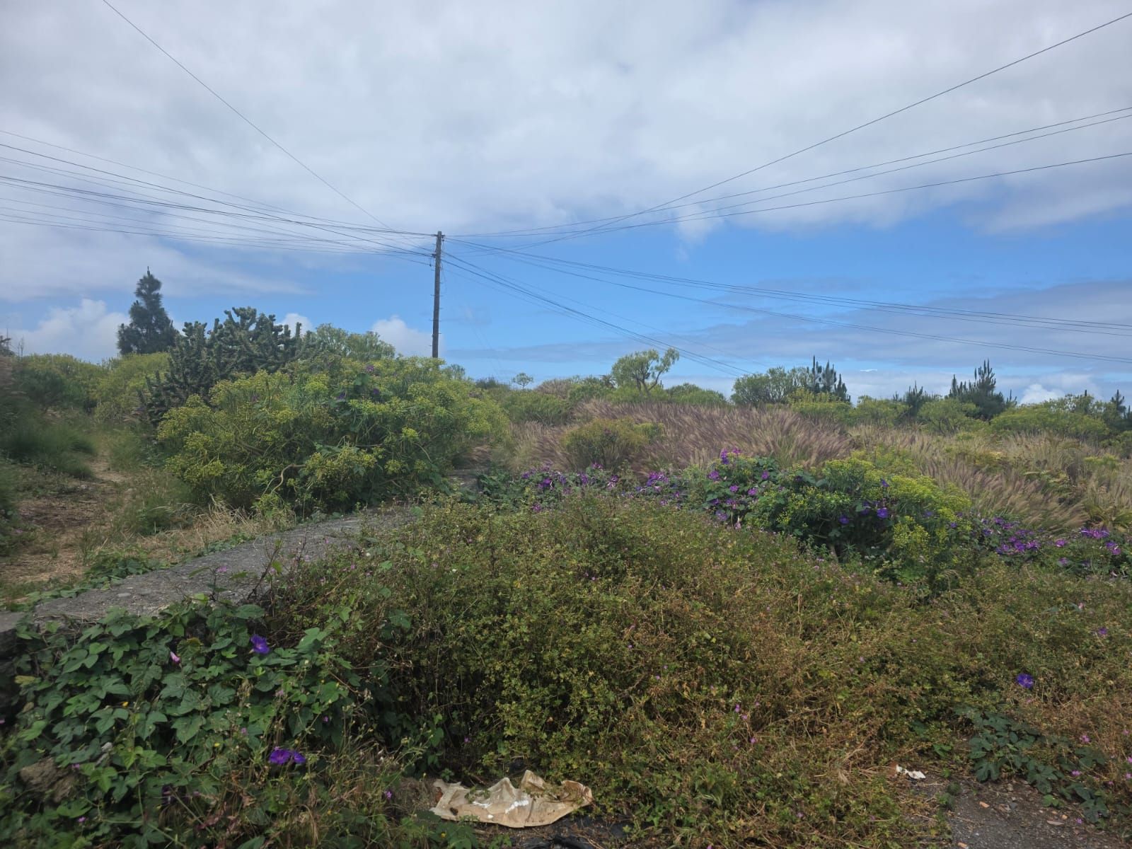 Development Land with Residential Potential and Panoramic — photo 4