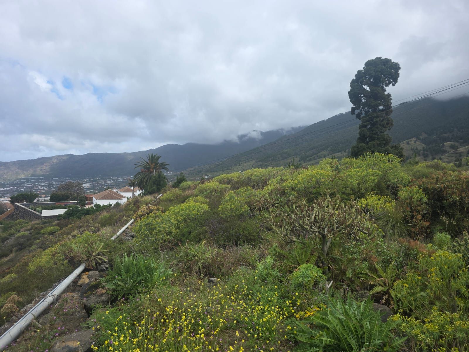 Development Land with Residential Potential and Panoramic — photo 3