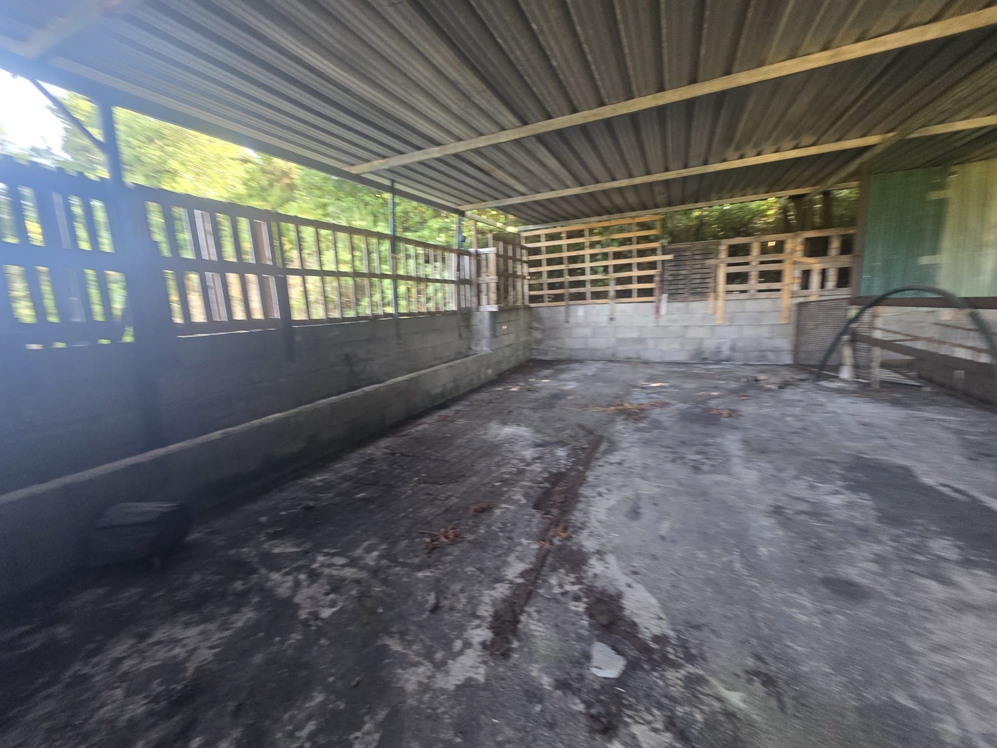 Zertifizierte Bio-Finca in San Isidro — photo 29
