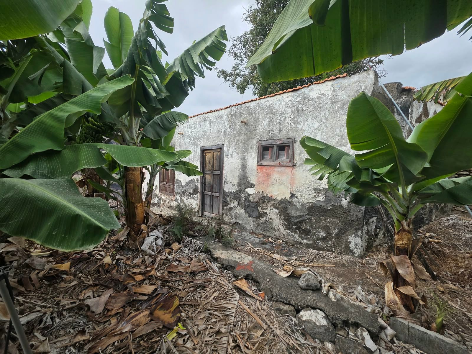 A House with Roots in Argual — photo 1