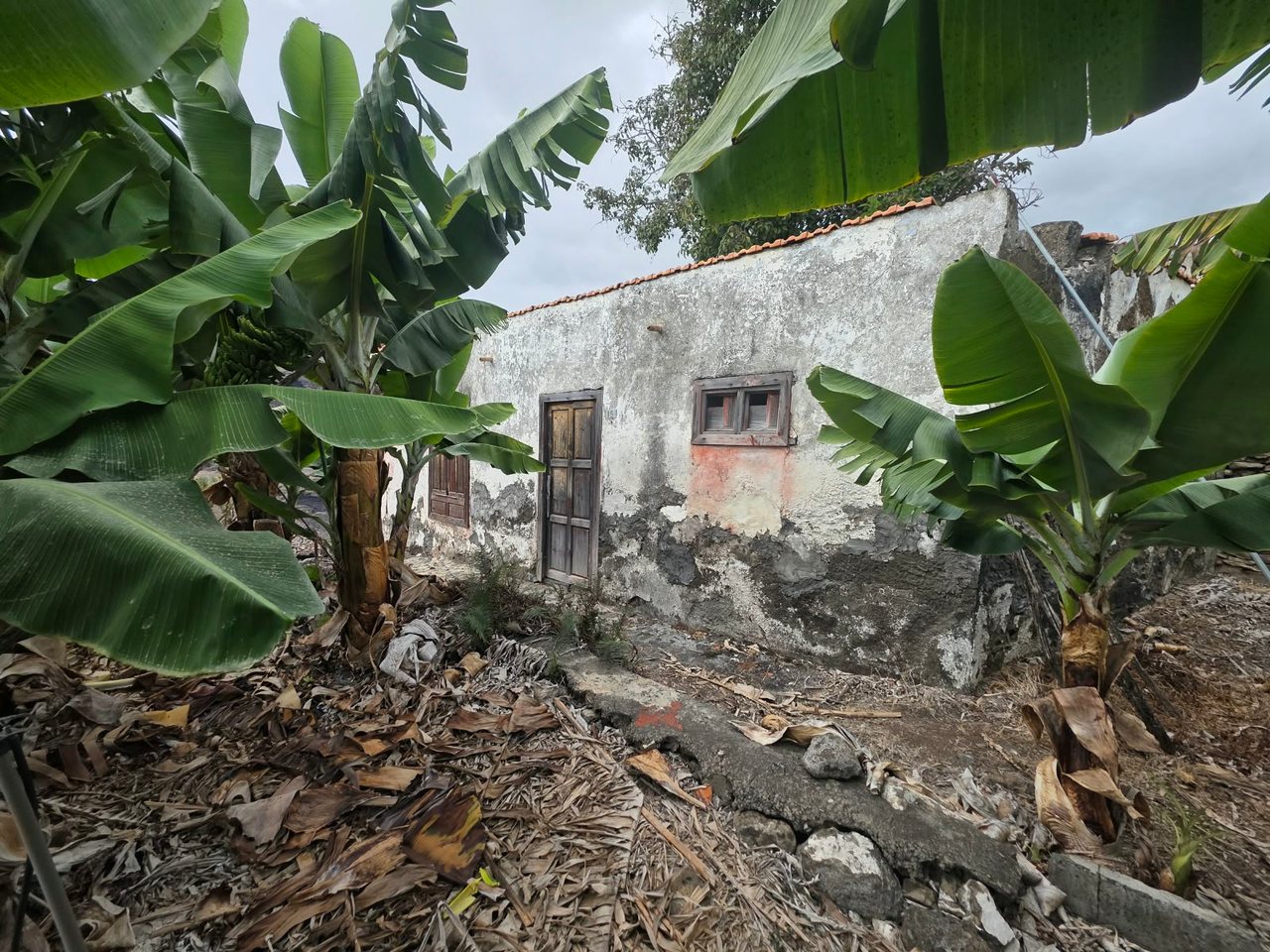 A House with Roots in Argual