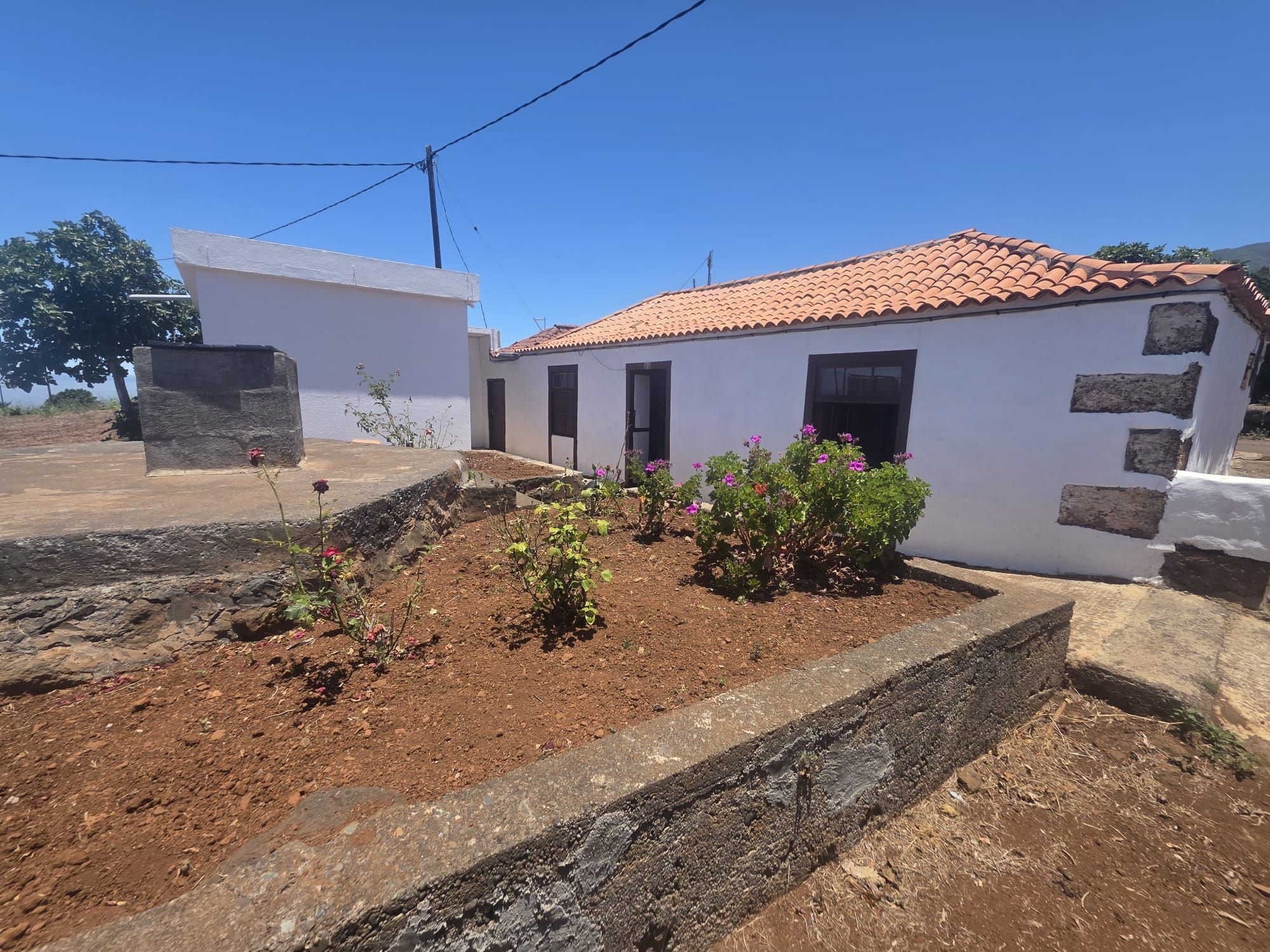 Una Casa Canaria con Suelo Urbano y Potencial de Desarrollo en Puntagorda — photo 5