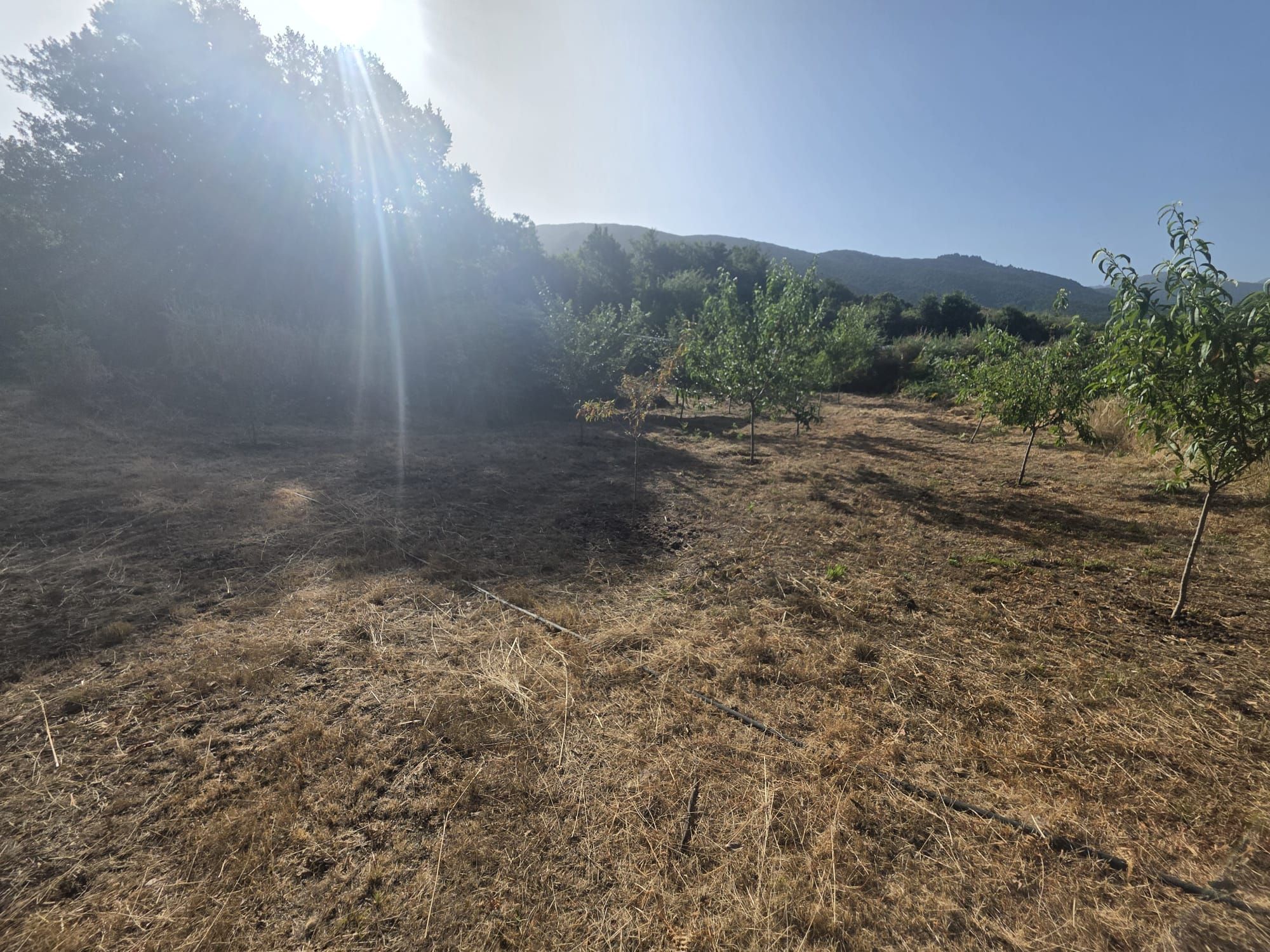 Zertifizierte Bio-Finca in San Isidro — photo 34