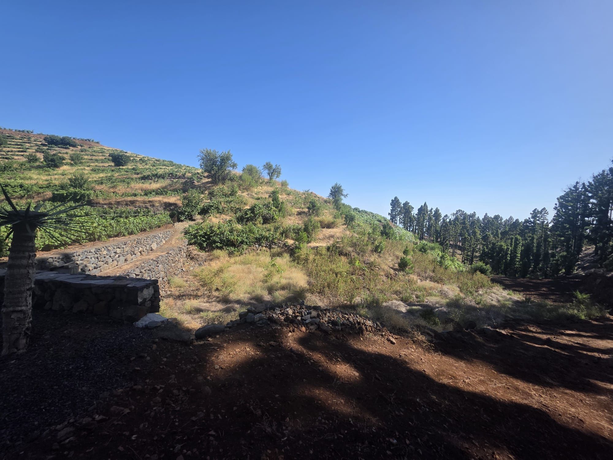 Refugio entre Viñedos y Naturaleza en Tinizara — photo 13