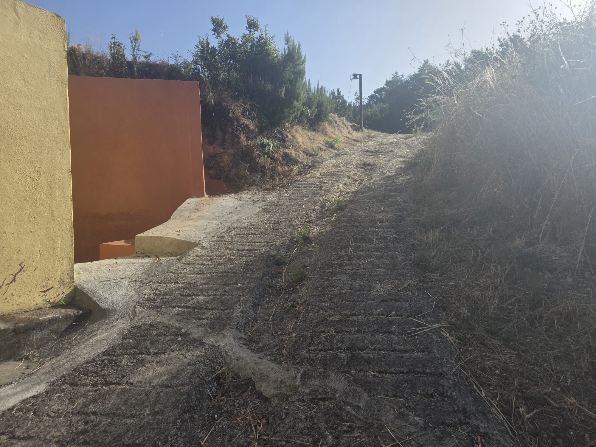Zertifizierte Bio-Finca in San Isidro — photo 36