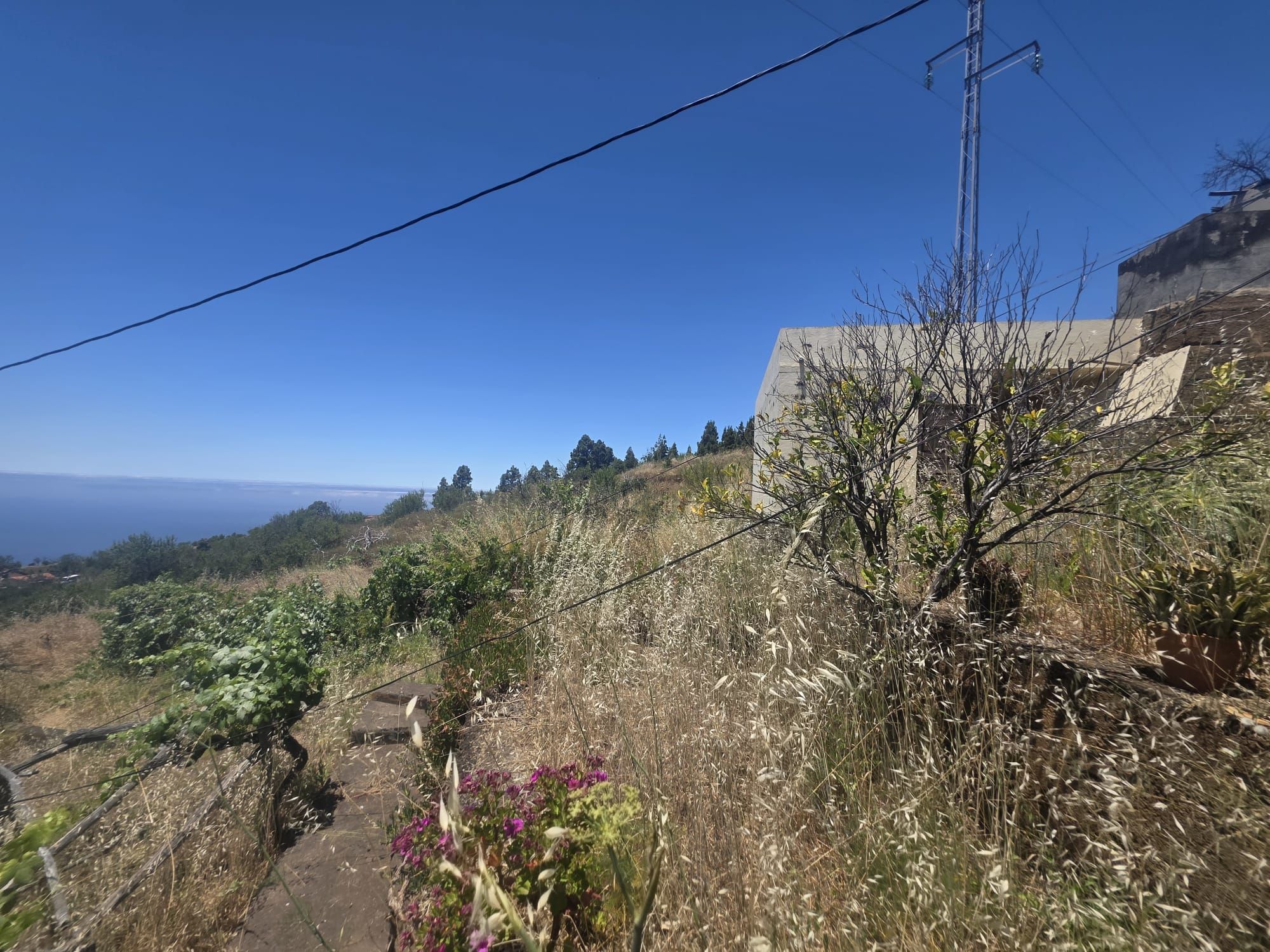 A Singular Estate with Exceptional Residential Development Potential — photo 20