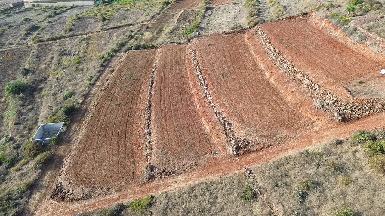 Finca Privada con Vistas al Atlántico y Potencial Turístico en Puntagorda — photo 1