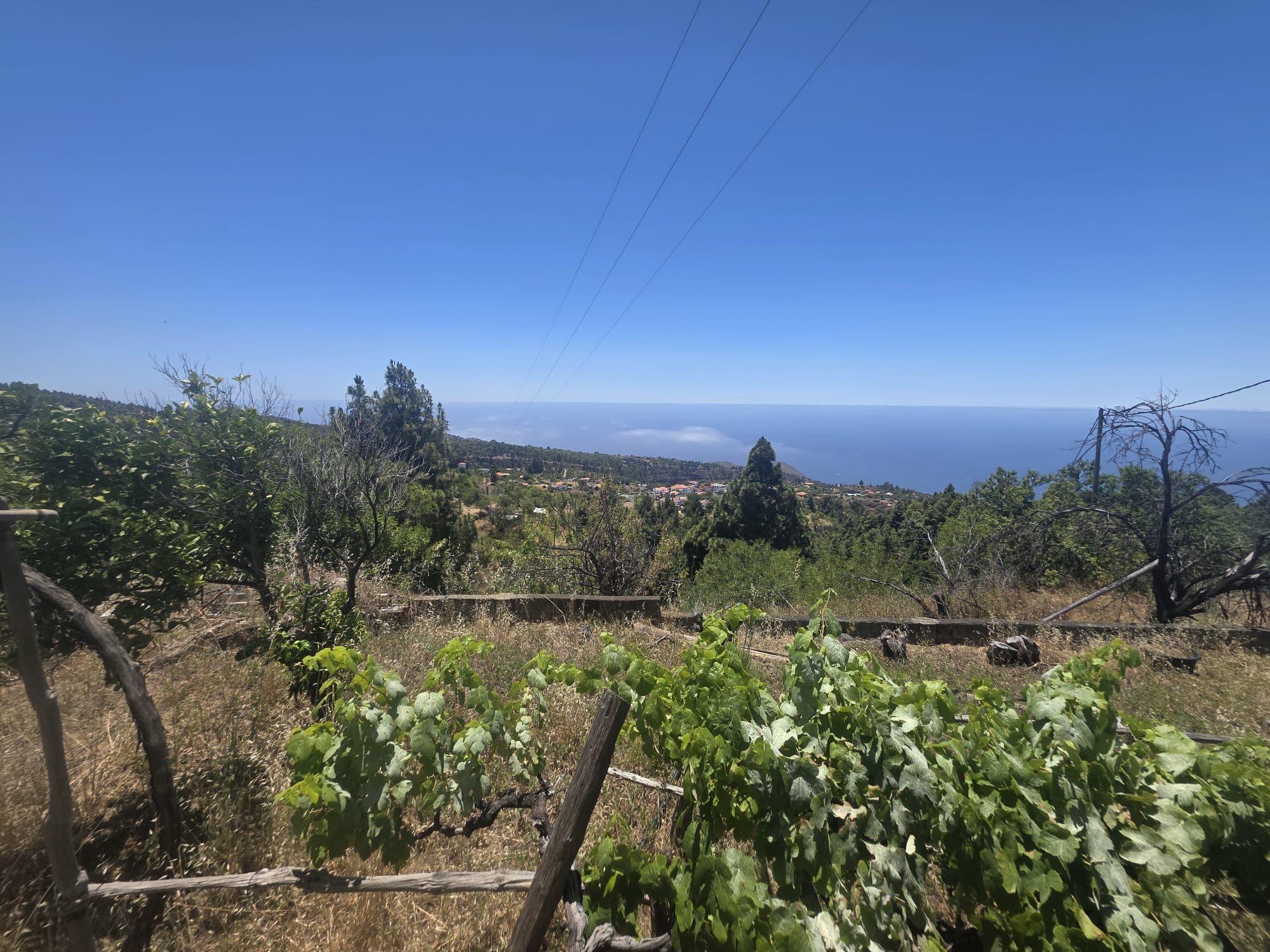 A Singular Estate with Exceptional Residential Development Potential — photo 19