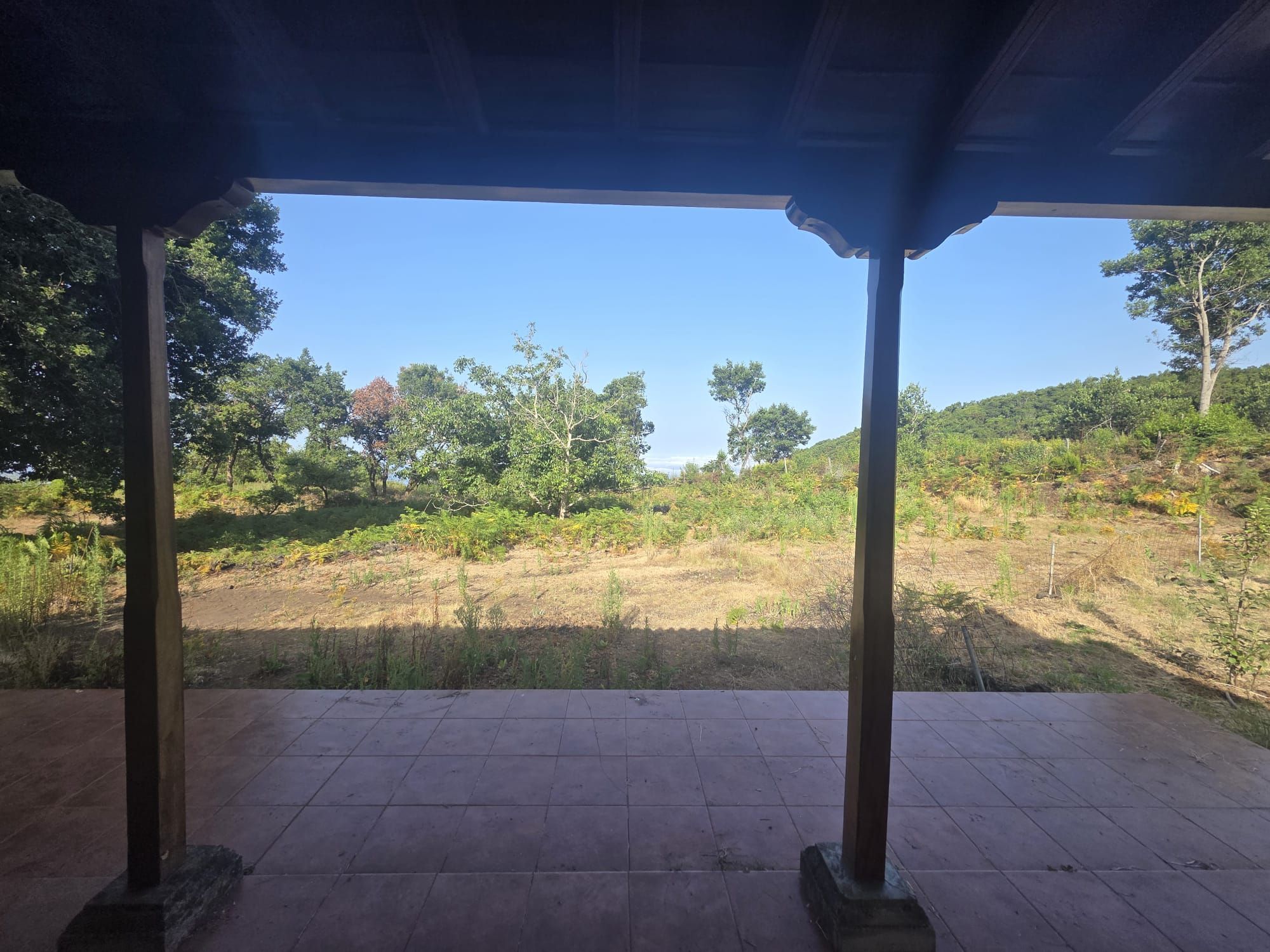 Zertifizierte Bio-Finca in San Isidro — photo 18