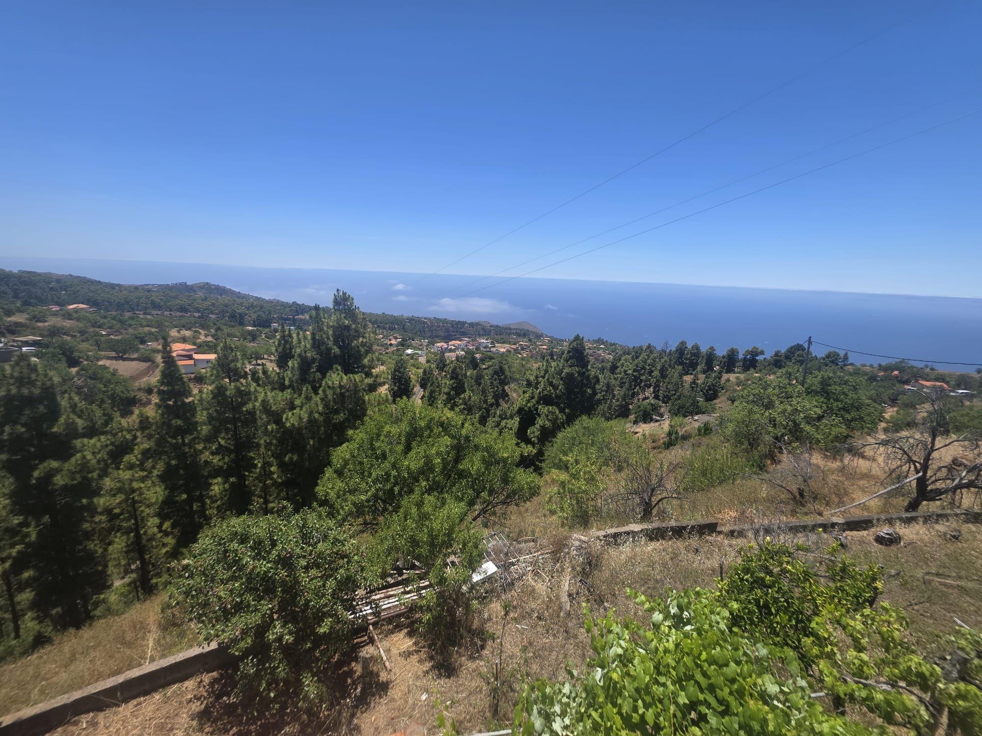 A Singular Estate with Exceptional Residential Development Potential — photo 18
