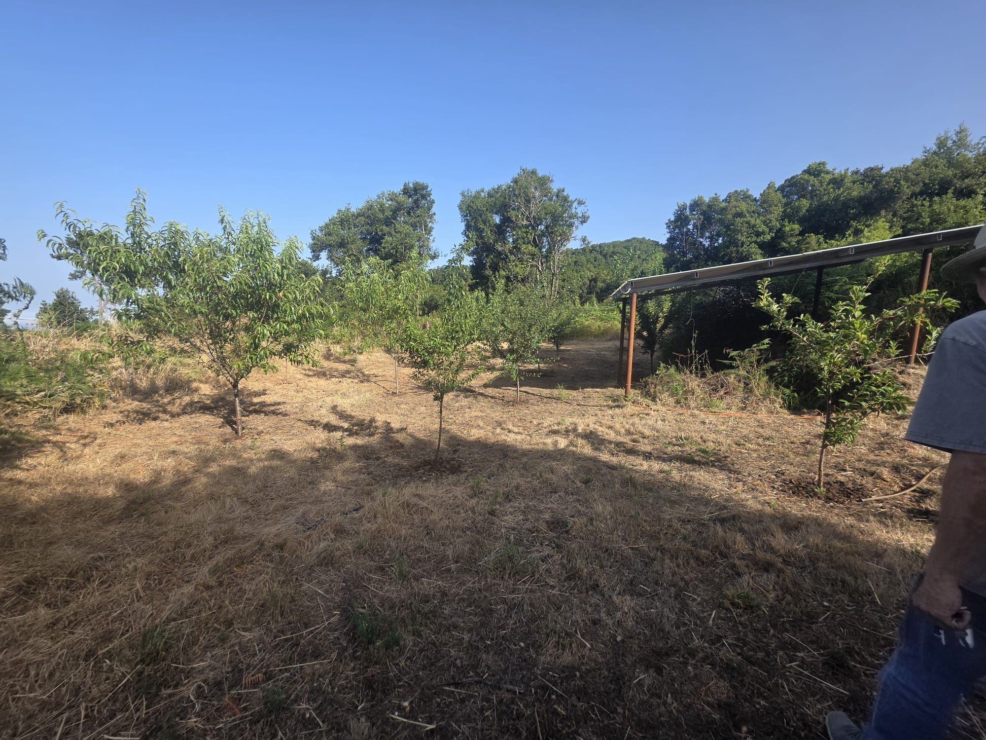 Zertifizierte Bio-Finca in San Isidro — photo 31