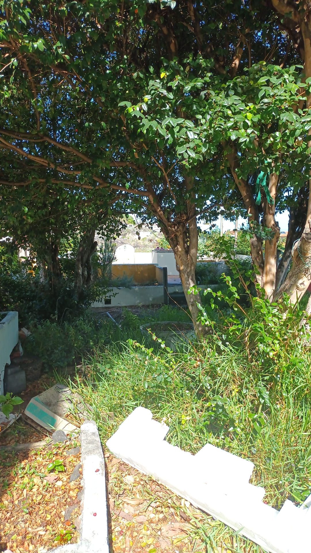 A Distinctive Residence in El Zumacal — photo 22