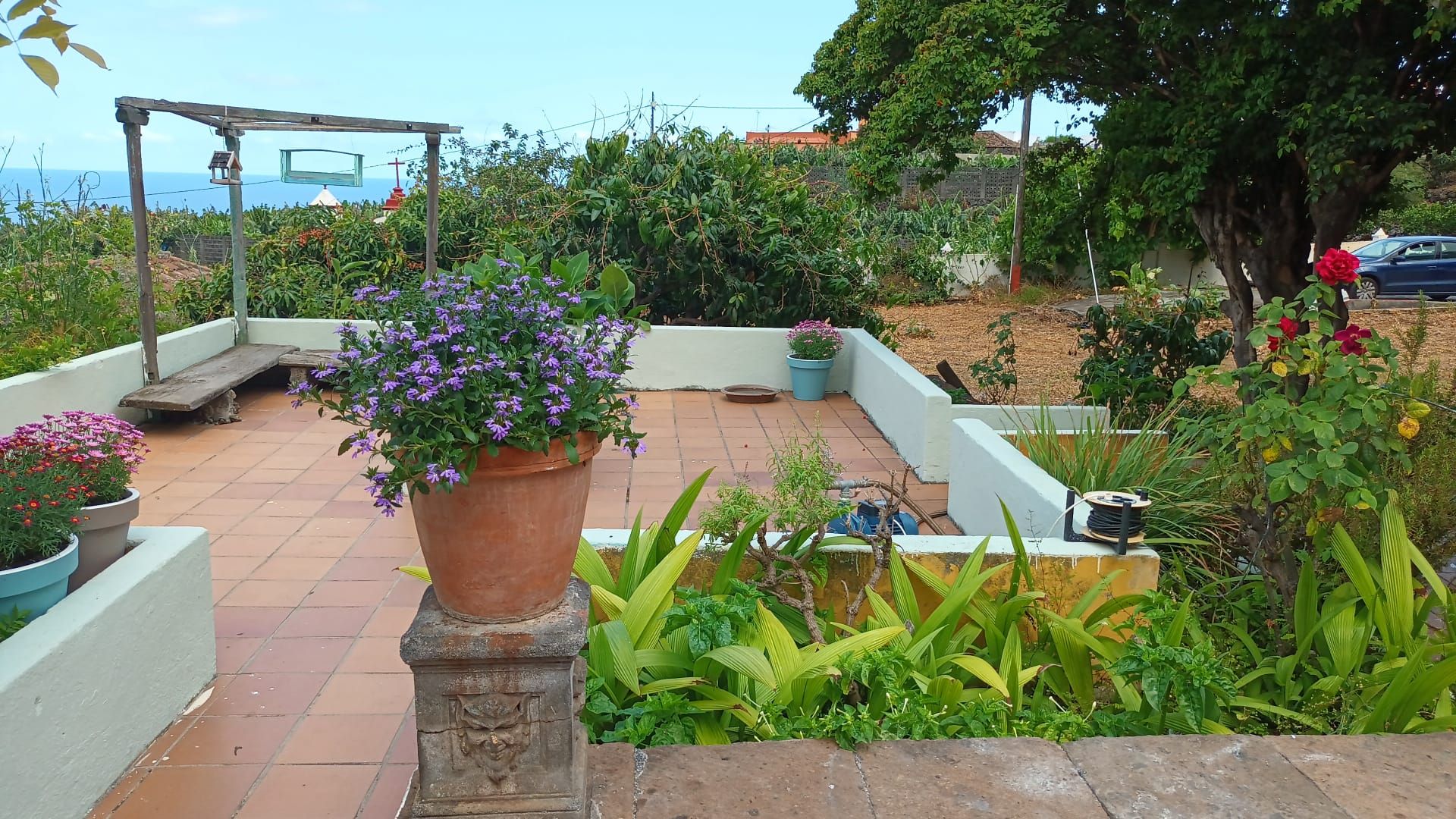 A Distinctive Residence in El Zumacal — photo 8